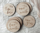 Baby Milestone Plaques Set