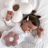 Teddy Daisy - Blossom