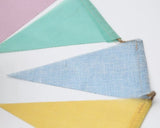 Rainbow Bunting