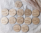 Baby Milestone Plaques Set