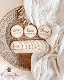 Baby Milestone Plaques Set